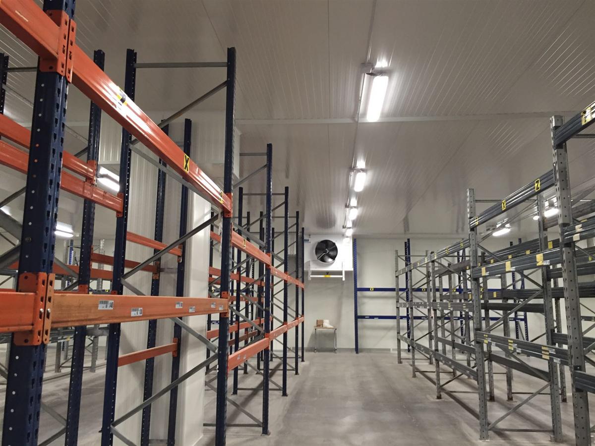 Cella di conservazione 11